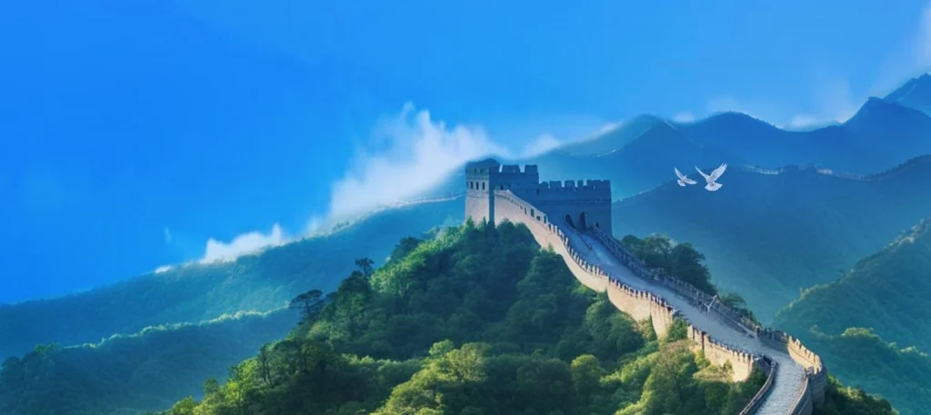 个人所得税与税务局官网电子税务局简易表决办税实景图